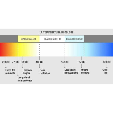 Accessori Per L'auto : CAVO AVVIAM. RAME 25MM²(3.50M) 21170577 | Carter - Foto 2