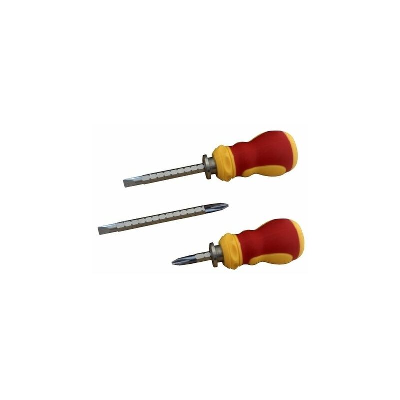 Cacciavite Tascabile 2 In 1 | Testa Piatta E Phillips PH1 | Portachiavi Metallo - Foto 9