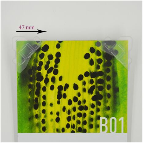 100 angles de protection transparents 5-6 mm pour Dibond, miroir, verre, signalétique