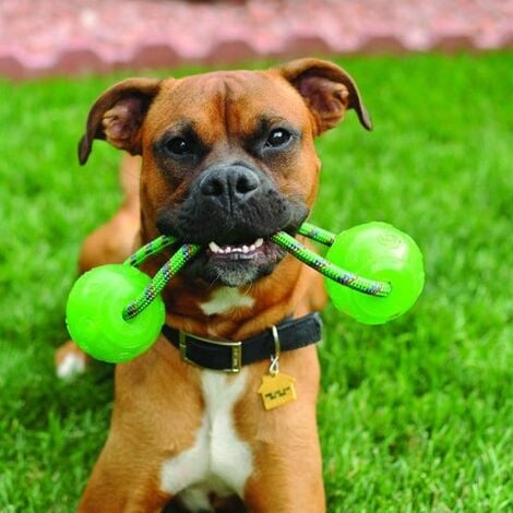 Kong Squezz Ball Pallina Gioco per Cani