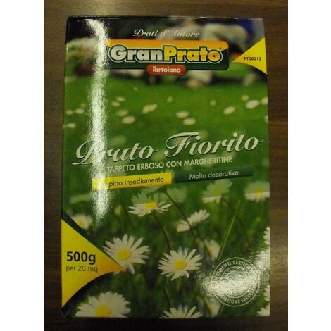 L'Ortolano Gran Prato PRATO FIORITO - Tappeto erboso con margherite Gr. 500