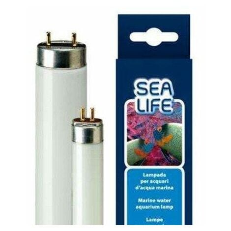 Lampada Neon T5 o T8 per acquario marino Sealife - Ferplast - Potenza: 36W  - Formato Lampada: T8