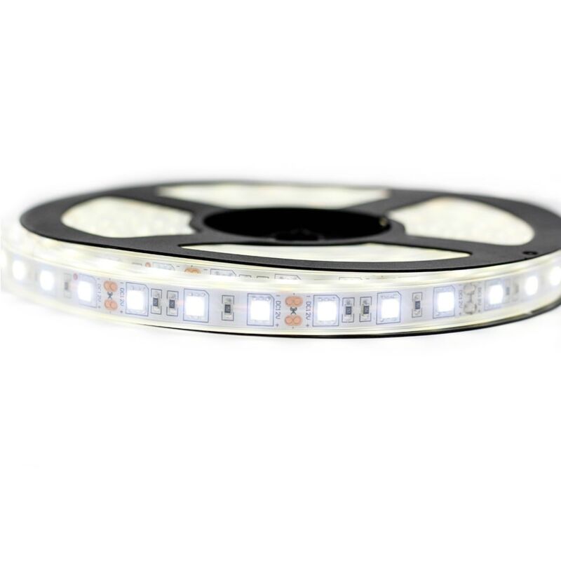 Kit Ruban 12V Professionnel 5050 - 60 leds/m - 5 ou 10 mètres au choix - Blanc froid étanche (IP67)  Longueur: 5 mètres - Transformateur: Alimentation Inclus