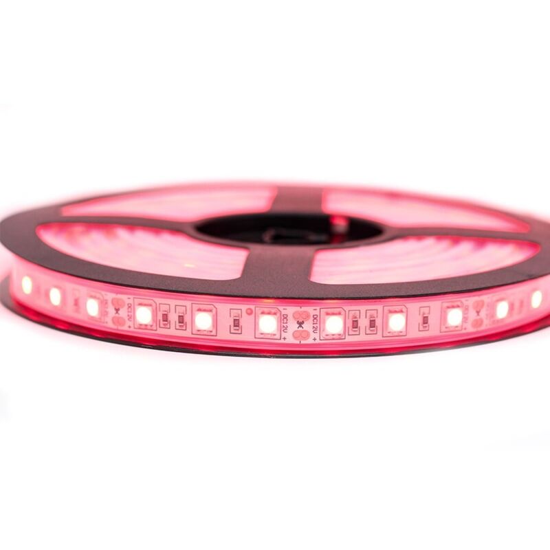 Kit Ruban Professionnel 5050 - 60 leds/m - 5 mètres rouge étanche (IP67)  Longueur: 5 mètres - Transformateur: Alimentation Non-Inclus