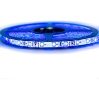 Kit Ruban Professionnel 3528 - 60 leds/m - 1m, 2.5m, 5 ou 10 mètres au choix- Bleu anti-éclaboussure (IP65)  Transformateur: Alimentation Non-Inclus - Longueur: 1 mètre