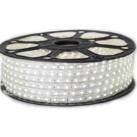 Ruban LED Professionnel 5050 60 LED/m de 25 ou 50 mètres Blanc Froid étanche (IP68) | Longueur: 25 mètres