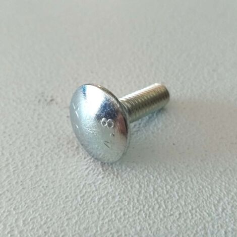 Vite carrettiere 6x25mm - 10pz vite metrica testa tonda con quadro sottotesta bassa resistenza (1/5)