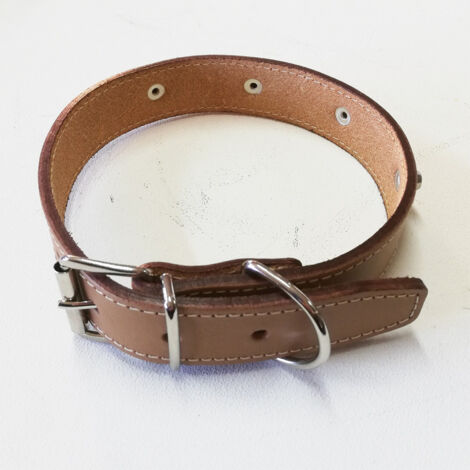 Collare in cuoio con borchie per cani (1/4)