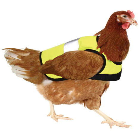 Gilet De Protection Réfléchissant Pour Volailles - Gaun