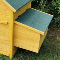 Animal Valley – Pondoir supplémentaire pour poulailler Bassette XL – Toit en shingle vert – Dimensions L. 74 x l. 39,2 x H. 35 cm – Accessoire professionnel