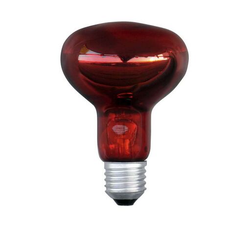 Bombilla infrarrojos 100W