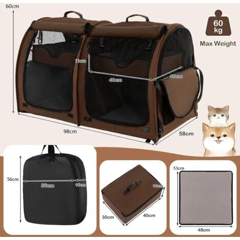 Twin pet outlet carrier