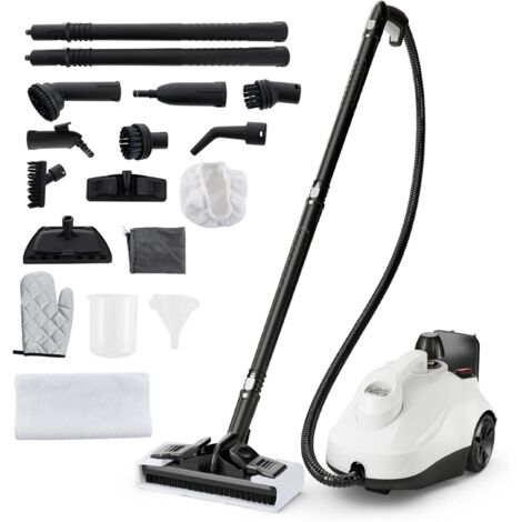 Steam Cleaner 1.8L Water Tank Steamer 2000W Steam Cleaning Machine (1/5)