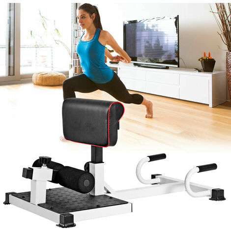 Multi-Function Sissy Squat Machine