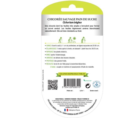 Achicoria silvestre pan de azúcar ecológico Las Manos Verdes