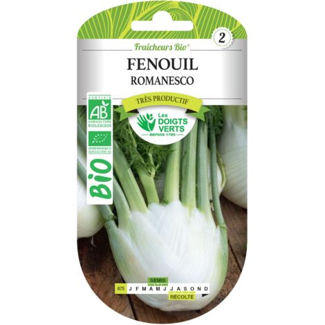 Semillas de hinojo romanesco BIO Los Dedos Verdes