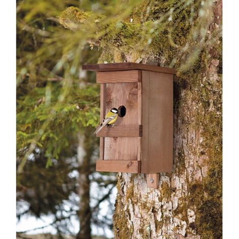 Casa para aves de madera maciza barnizada