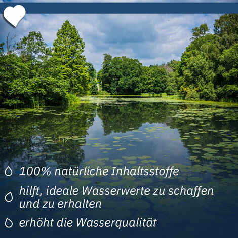 TeichHerz Teichbehandlung Algenentferner Teichaufbereiter
