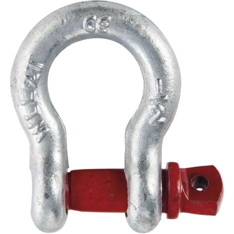 Manille lyre 2T
