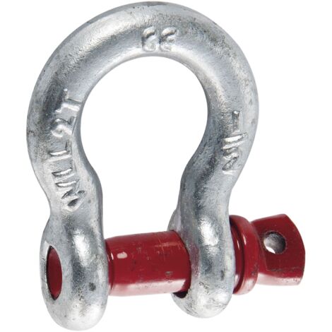 Manille lyre 2T