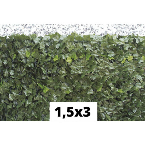 Siepe sempreverde Verdelook edera 150x300 cm