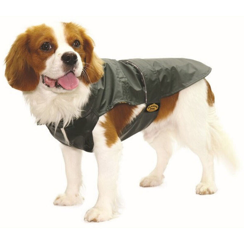 Fashion Dog Cappotto impermeabile per Cani Verde taglia 36