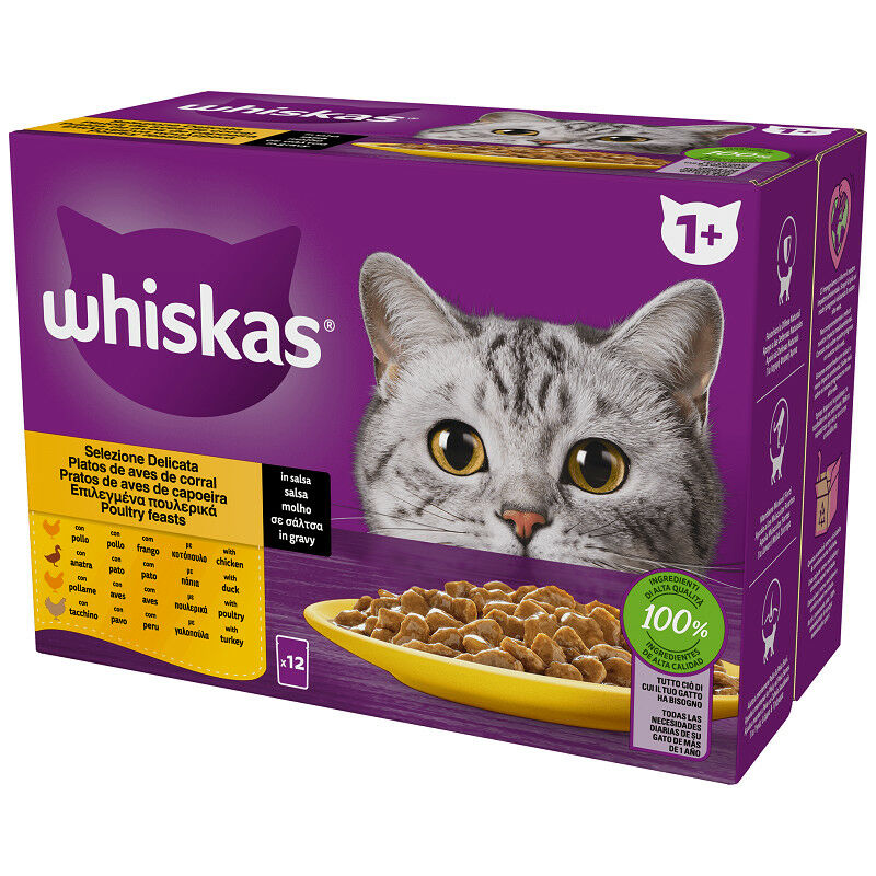 Whiskas Multipack Selezione Delicata per Gatti con Pollo, Tacchino, Pollame  e Anatra da 12x85 gr