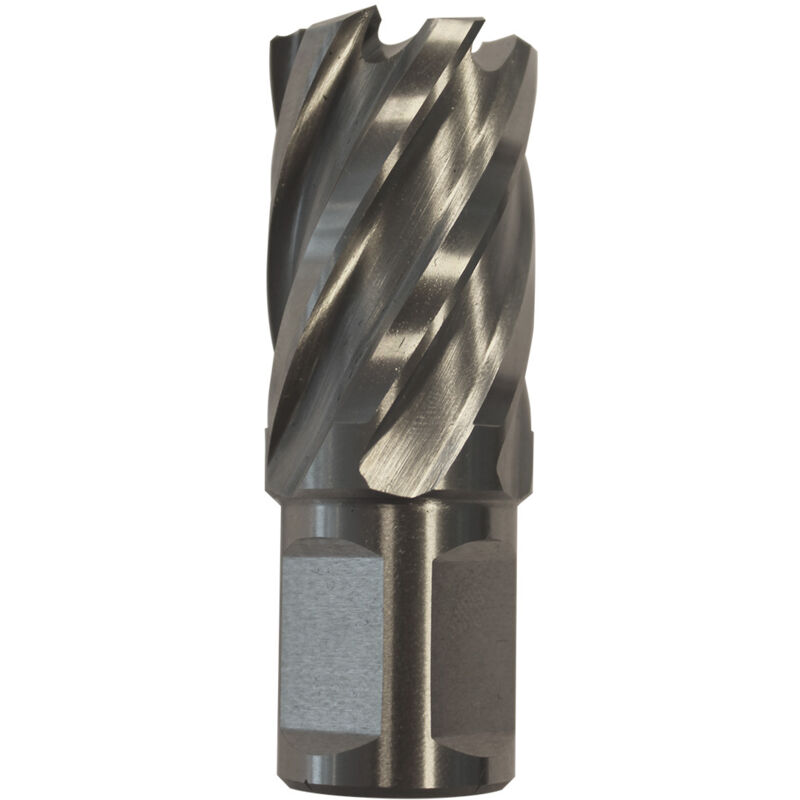 Drill America DWRR Series Qualtech Alésoir à Mandrin En Acier Rapide, Cannelure Droite, Tige Ronde, Finition Non Revêtue (brillante), Taille 63,5/164,6 Cm, Lot De 1