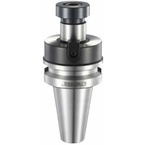 Mandrins porte-fraises combinés DIN6358 MAS403 BT50 L. 75 MM diam. 40 MM Vertex BT-166 (1/3)