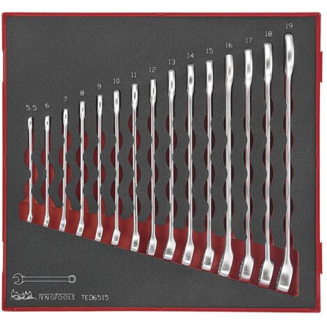 Jeu de clés mixtes Foam2 tray 5,5- 19mm 15 pièces Teng Tools TED6515 (1/2)