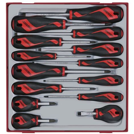 Jeu de tournevis mixtes TT2 tray Plat- PH- PZ 14 pièces Teng Tools TTD914N (1/5)