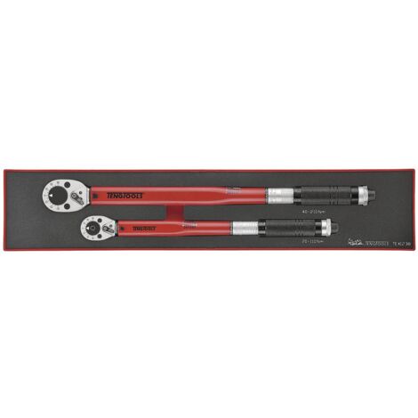 Clés dynamométriques Foamx4 tray 2 pièces Teng Tools TEX1238 (1/2)