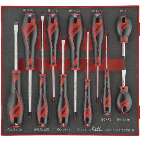 Jeu de tournevis Foam2 tray PH- PZ 11 pièces Teng Tools TED911N (1/2)