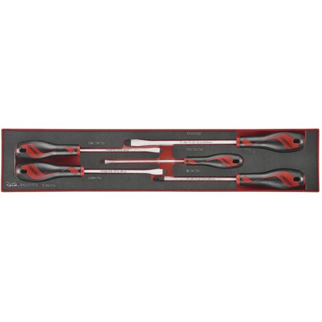 Jeu de tournevis Plat- Ph Foamx4 tray 5 pièces Teng Tools TEX915N (1/2)