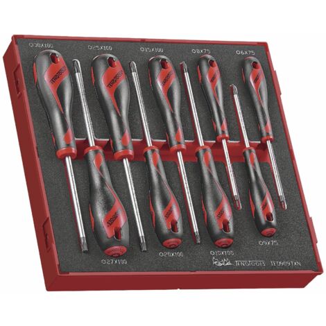 Jeu De 6 Tournevis Torx T10 à T30 BRILLIANT TOOLS - Poignée Ergonomique Bimatière Acier Cr-V