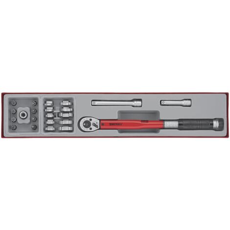 Clé dynamométrique pour droitiers TTX4 tray 3/8 20-110nm 22pc Teng Tools TTX3892 (1/2)
