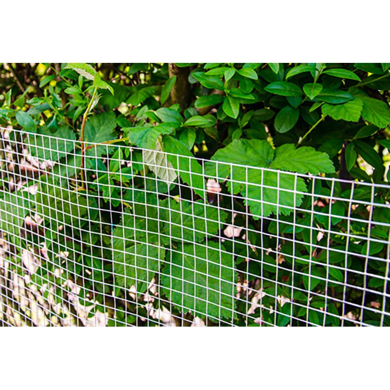 Rete Metallica per piante e animali Grata per Recinti e Barriere Ideale per il giardino voliere
