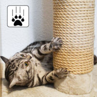 25 Cm Ricambio Tiragraffi Per Gatti - Colonna 9,2 M8 - Sisal Palo Graffiatoio 90201642 - 9