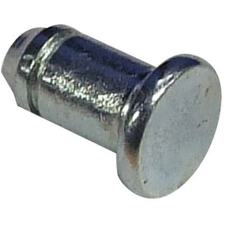 GOUJON CHARNIERE pour LAVE VAISSELLE SCHOLTES - C00048504