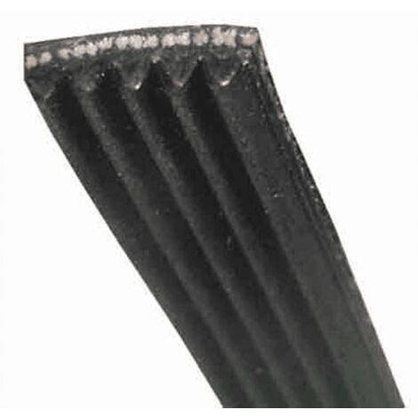 Ariston - courroie poly-v 1208j5 - c00141664 - 8052476416641 (1/5)
