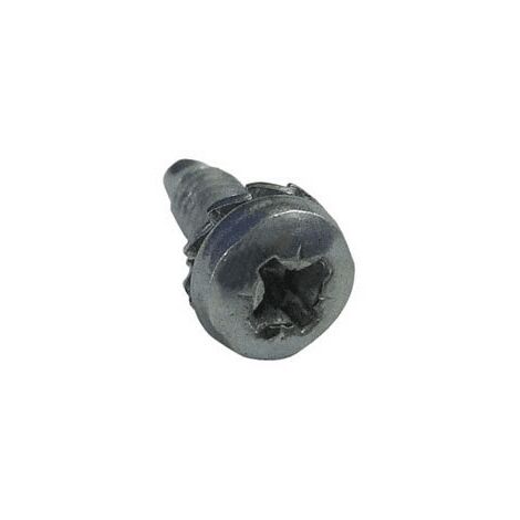 VIS DE PALIER pour SECHE LINGE INDESIT - C00250889 (1/3)