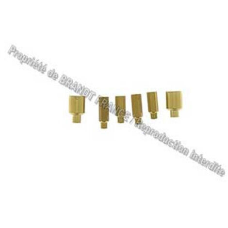 SACHET INJECTEURS GAZ NATUREL POUR CUISINIERE THOMSON - 79X6065 (1/2)