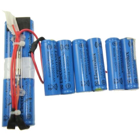 KIT BATTERIE ERGO RAPIDO pour PIECES ASPIRATEUR NETTOYEUR... (1/3)