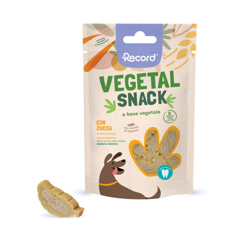 Migliori snack per cani dai biscotti ai masticativi per cani