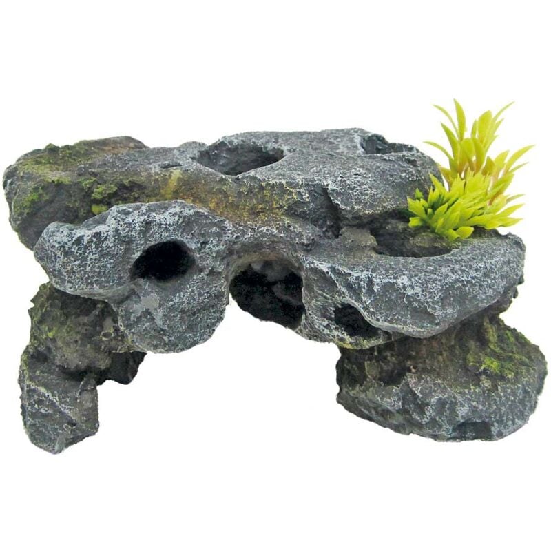 Amtra - Roccia Petrified, decorazione per acquario, naturale, non calcarea,  1 KG : : Prodotti per animali domestici