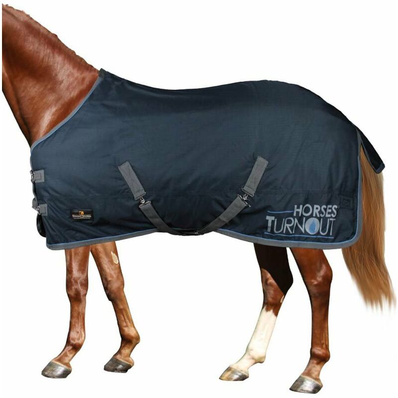 Coperta impermeabile da paddock imbottita 400 g e tessuto esterno 600  denari Turnout: 145 cm, Blu