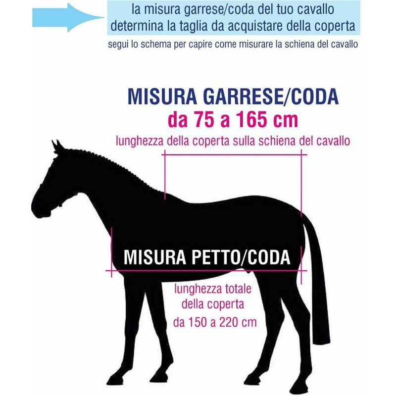 Coperta in pile per cavalli modello TREVISO: 145 cm, Blu Grigio e Bordeaux