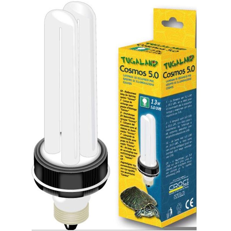 Lampade tartaruga: recensioni e prezzi Lampade tartaruga: recensioni e prezzi
