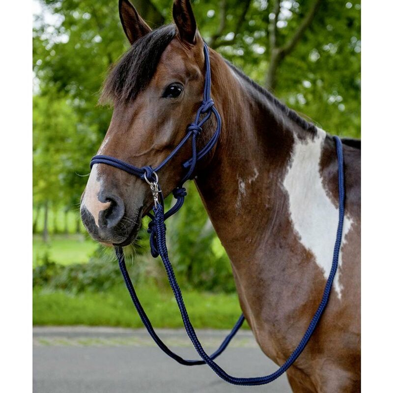 Redini In Corda Per Cavalli E Pony - Con Moschettone, Lunghezza 2.5m, Design Moderni, Resistenti - Foto 2