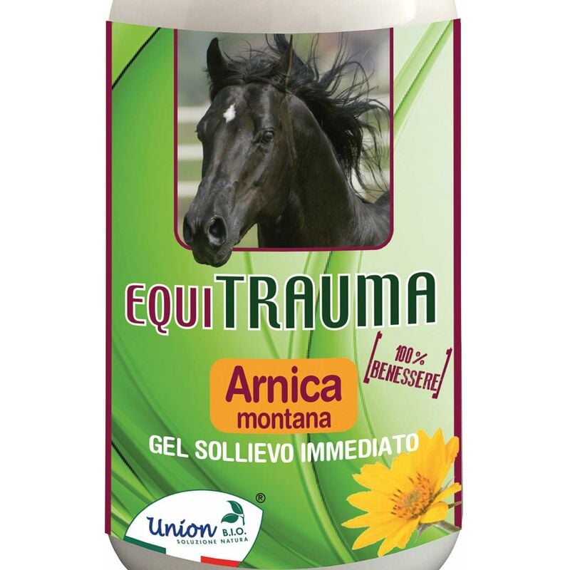 EQUI TRAUMA Gel naturale all'Arnica utile per defaticare muscoli, tendini e  articolazioni post lavoro per cavalli: 500 ml